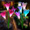 Solar Powered Lily Flower Light - 2 Pack Nebula Light