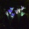 Solar Powered Lily Flower Light - 2 Pack Nebula Light